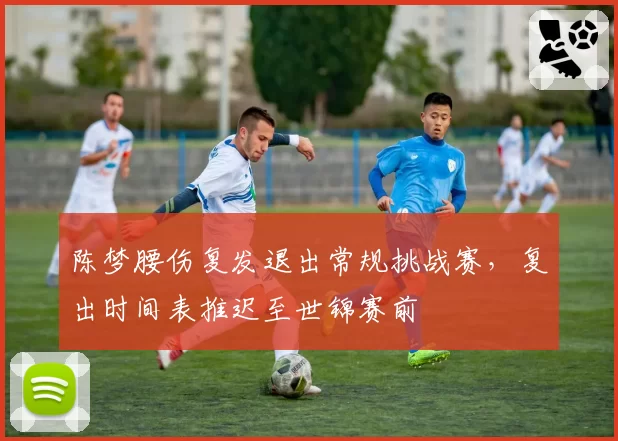 陈梦腰伤复发退出常规挑战赛，复出时间表推迟至世锦赛前