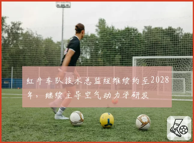 红牛车队技术总监纽维续约至2028年，继续主导空气动力学研发